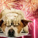 fuochicapodanno