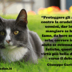 proteggere-animali