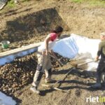 fito_depurazione_2-690x420